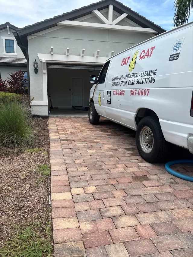 Fat Cat Carpet- Tile and Upholstery Cleaning — photo from the business 1