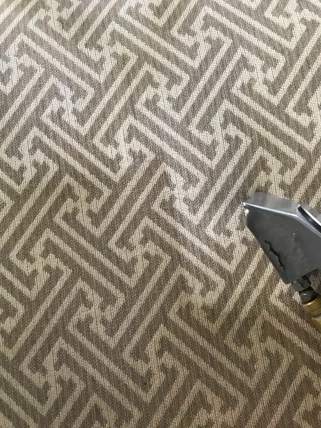 Fat Cat Carpet- Tile and Upholstery Cleaning — photo from the business 10