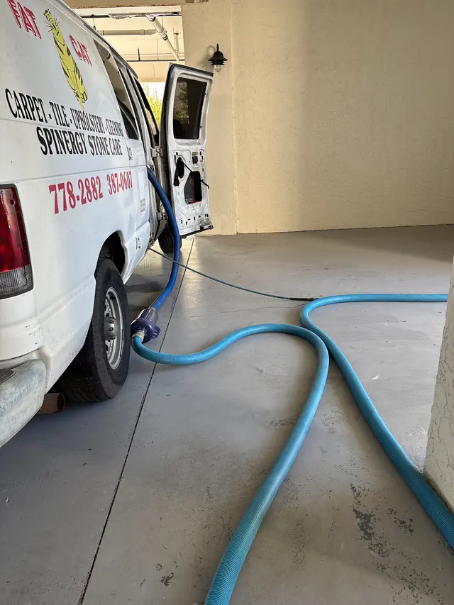Fat Cat Carpet- Tile and Upholstery Cleaning — photo from the business 3
