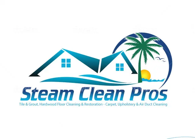 Steam Clean Pros — photo from the business 4