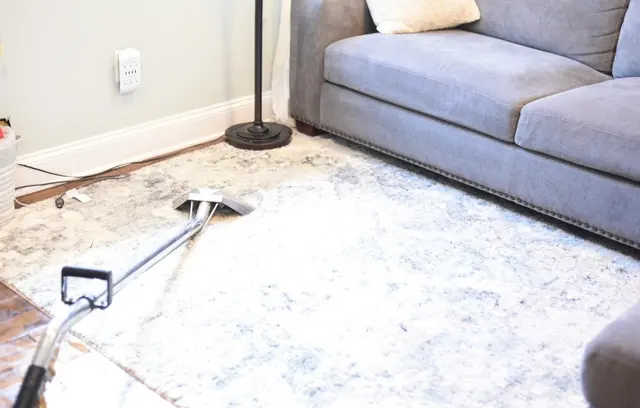 Steam Clean Pros — photo from the business 3