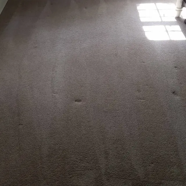 Clean & Glossy Pro Cleaning Services — photo from the business 9