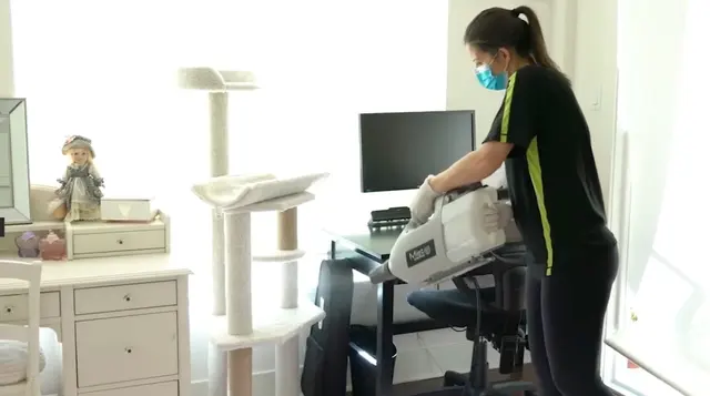 Wholesome Cleaning Services of Bradenton — photo from the business 1