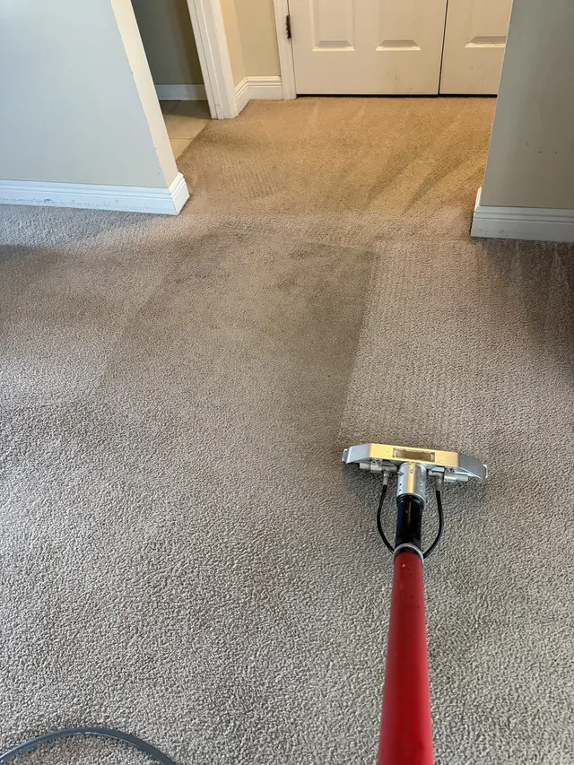 Customer photo from Geriatric's review