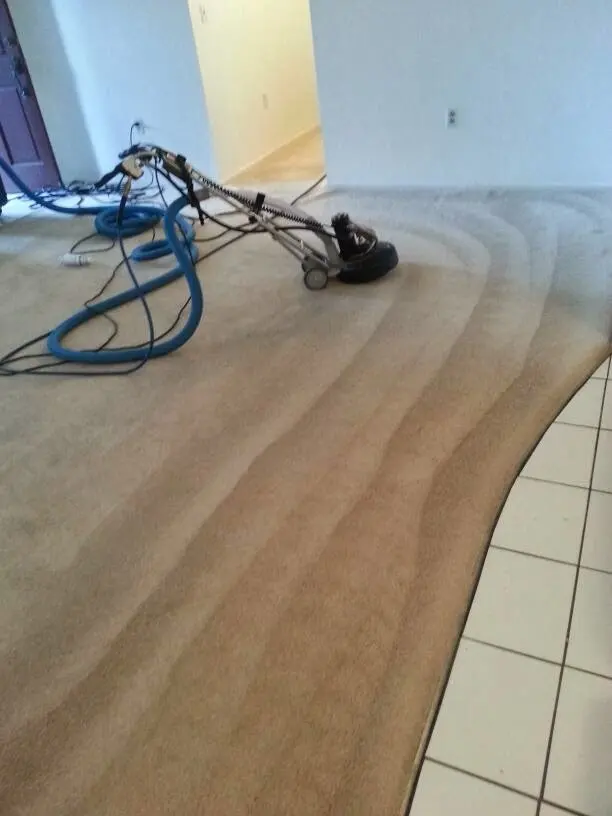 Extreme Steam Cleaning Services — photo from the business 9