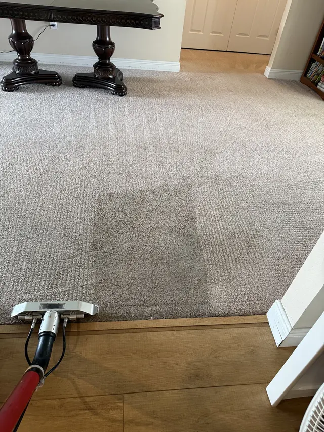 Extreme Steam Cleaning Services — customer photo 3