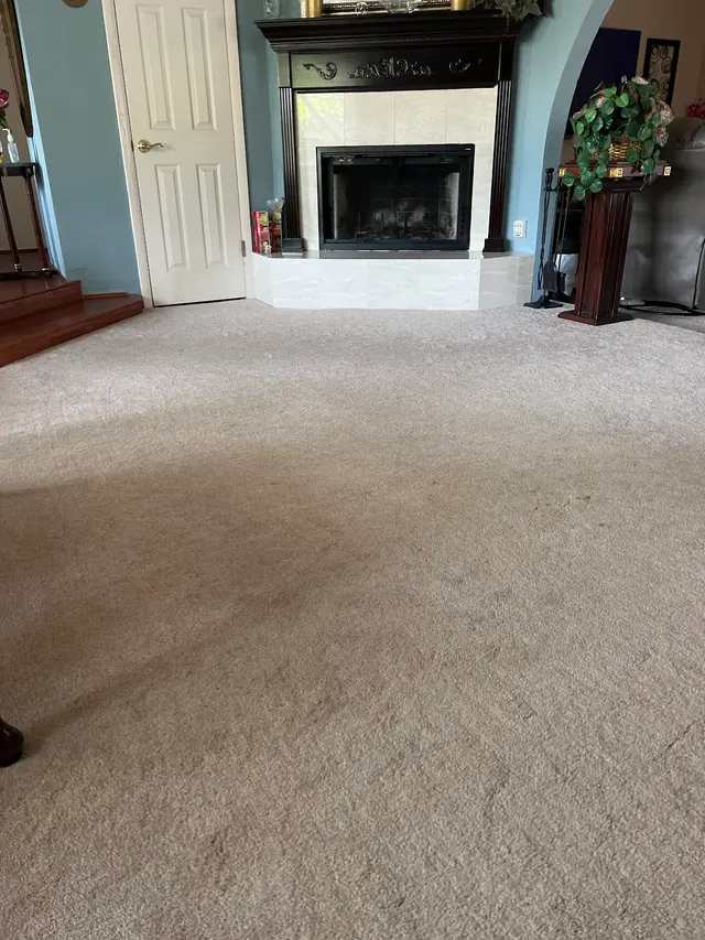 Steamatic Carpet Cleaning — customer photo 2