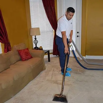 Steamatic Carpet Cleaning — photo from the business 4