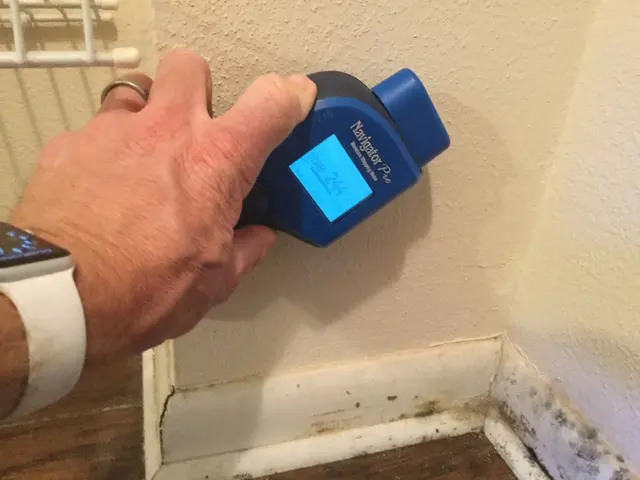 SERVPRO of West Bradenton/Anna Maria — photo from the business 12