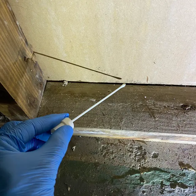 Mold Testing Services of Oregon — photo from the business 11