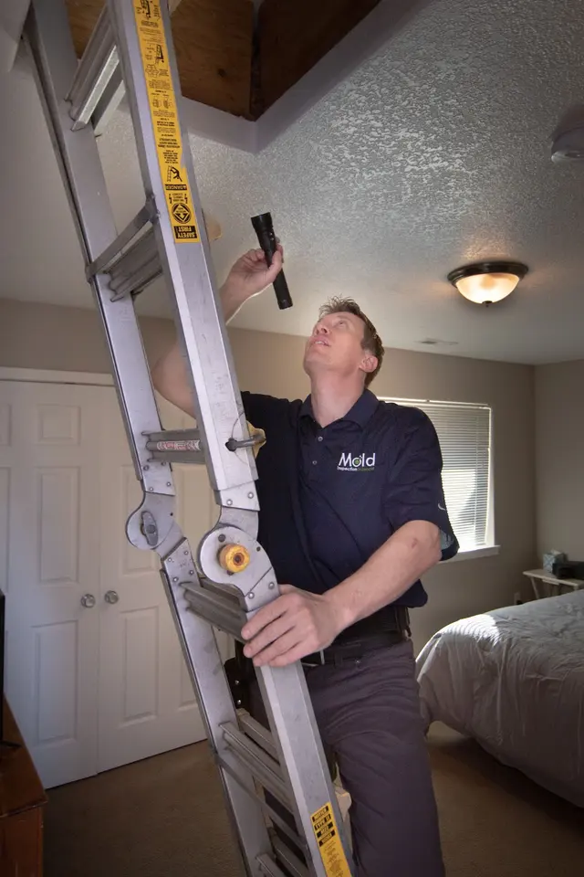 Mold Inspection Sciences, Inc. — photo from the business 3