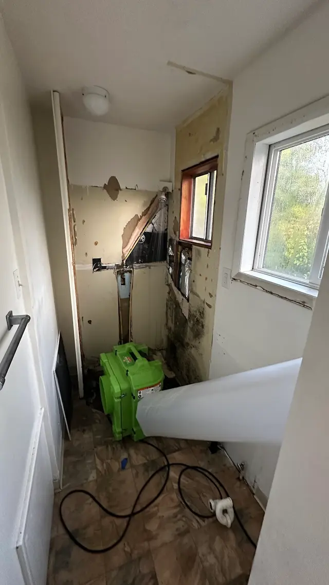 Mold Inspection Sciences, Inc. — customer photo 12