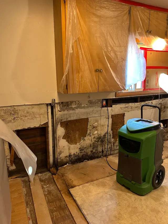 Customer photo of work by Mold Inspection Sciences, Inc., from Abby Stewart's review