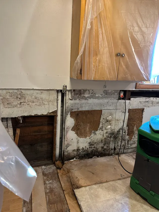 Mold Inspection Sciences, Inc. — customer photo 6