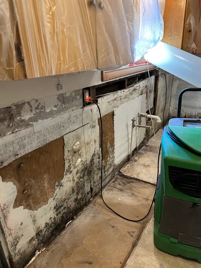 Mold Inspection Sciences, Inc. — customer photo 9