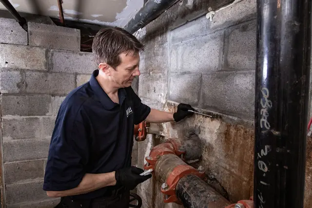 Mold Inspection Sciences, Inc. — photo from the business 2