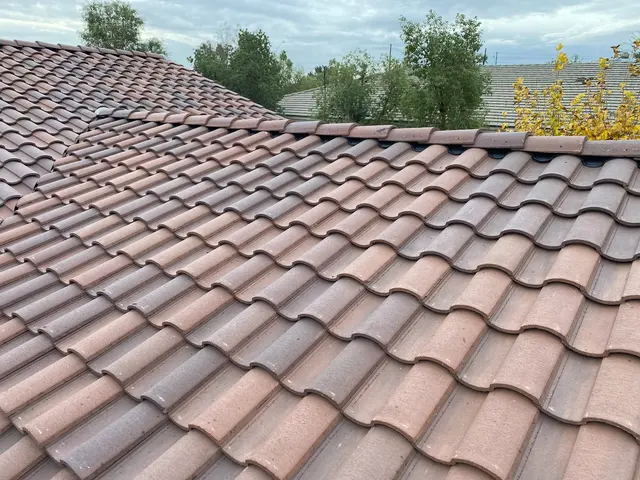 Phoenix Pro Roofing — photo from the business 2