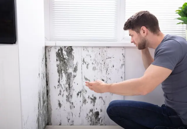Alpha Home Inspections LLC — photo from the business 2