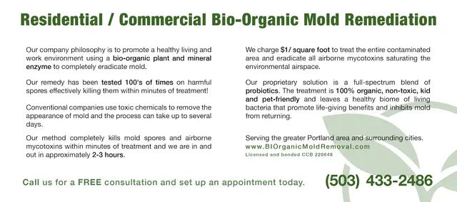 Biorganic Mold Removal — photo from the business 3