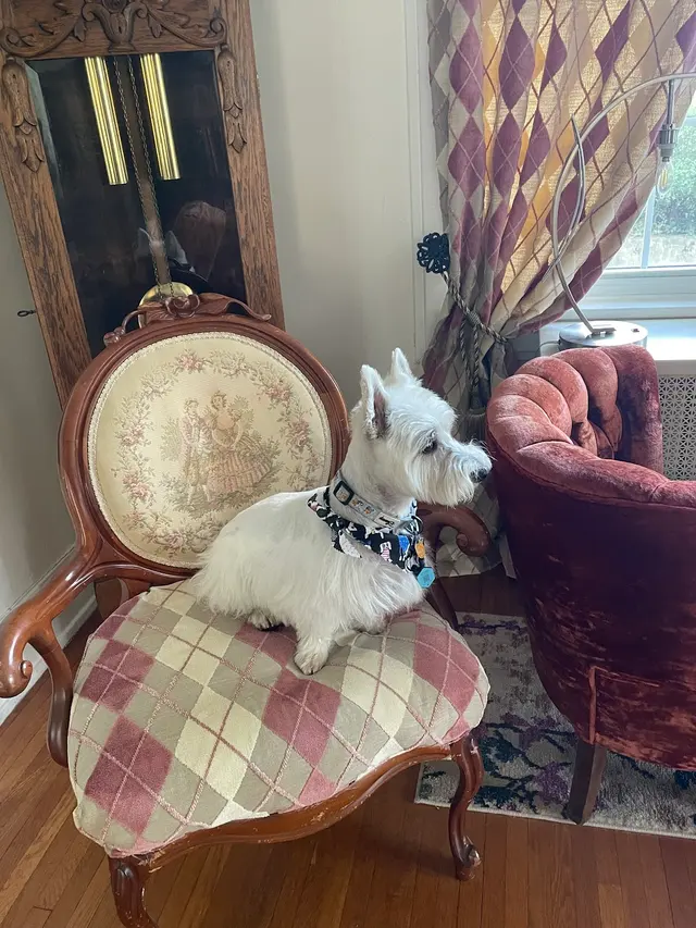 Customer photo from Deb's review