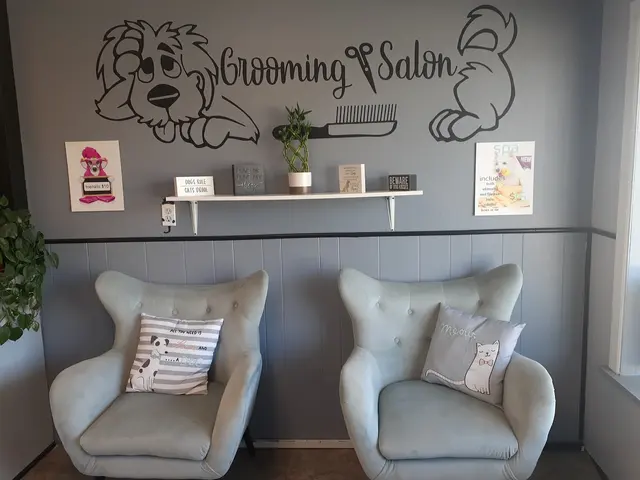Luna's Dog Grooming Salon — photo from the business 1