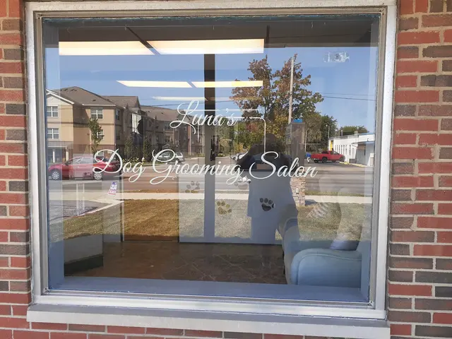 Luna's Dog Grooming Salon — photo from the business 5