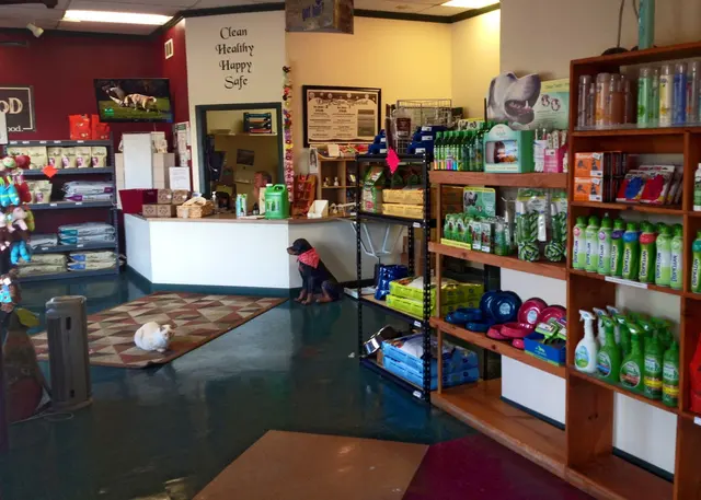 GroomingDales Pet Salon & Day Spa — photo from the business 8