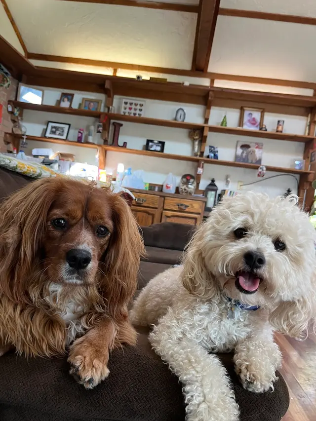 Furry Friends — customer photo 9