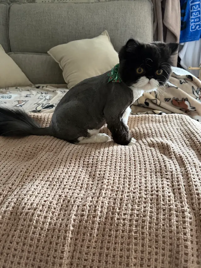 Furry Friends — customer photo 7