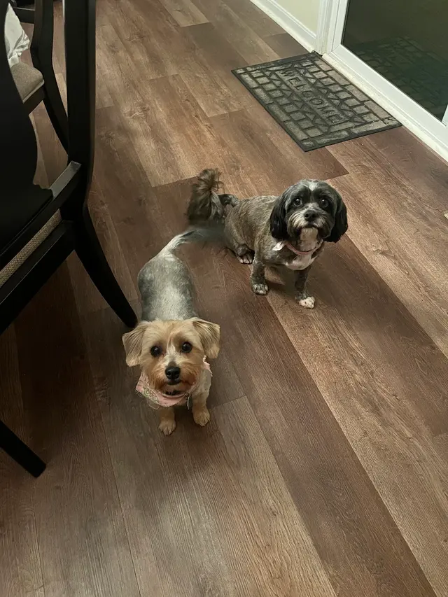 Furry Friends — customer photo 10