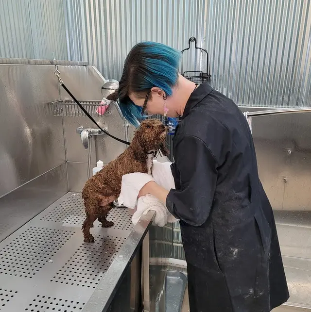 Size Matters Dog Grooming — photo from the business 11