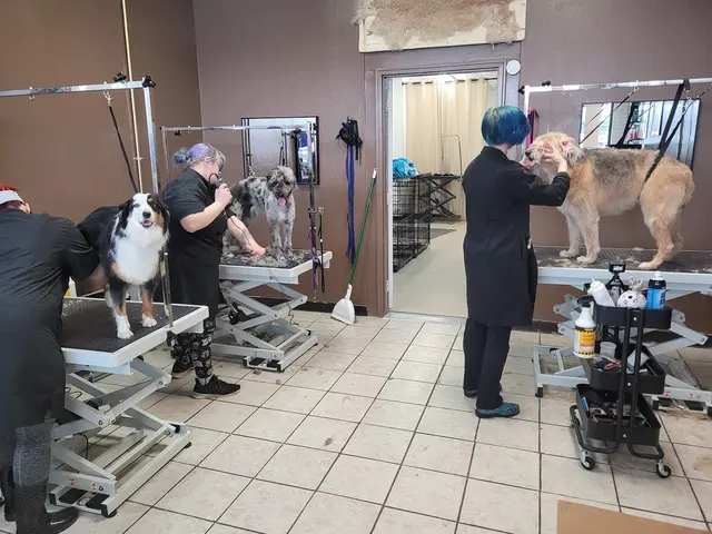 Size Matters Dog Grooming — photo from the business 3