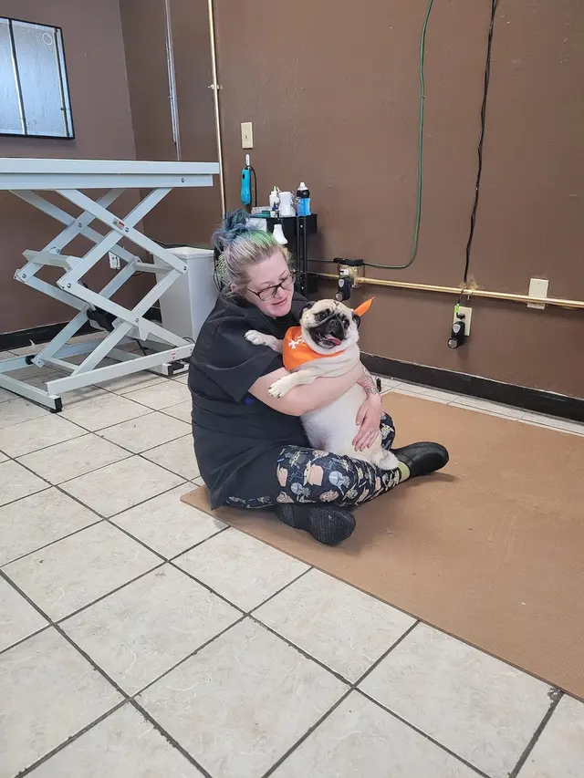 Size Matters Dog Grooming — photo from the business 6