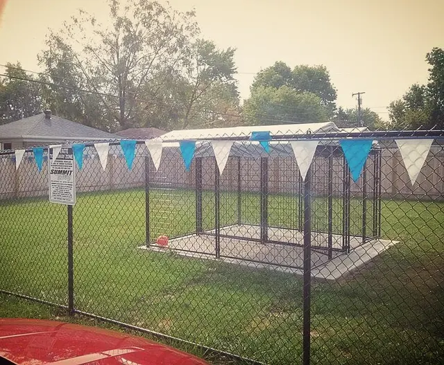 Pawprint Grooming — photo from the business 12