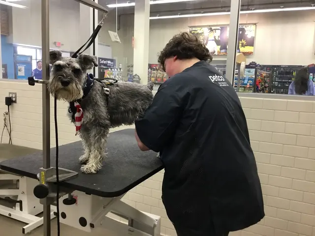 Petco Grooming — photo from the business 2