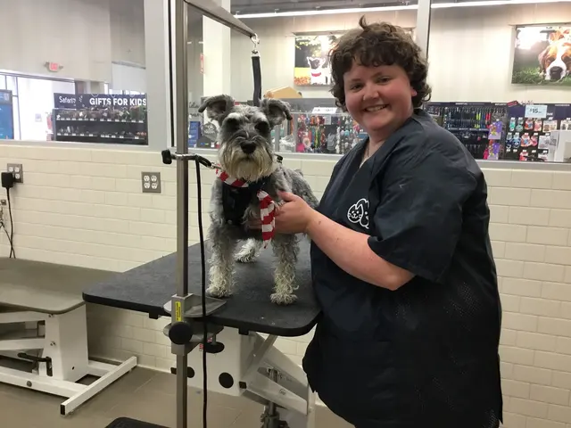 Petco Grooming — photo from the business 8