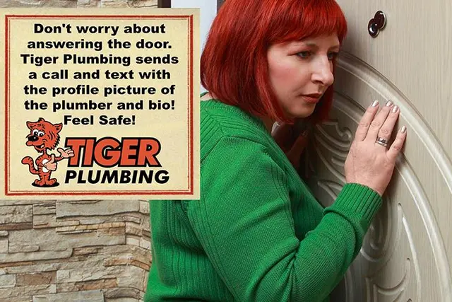 Tiger Plumbing — photo from the business 8