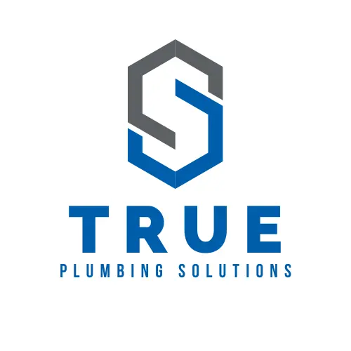 True Plumbing Solutions — photo from the business 12