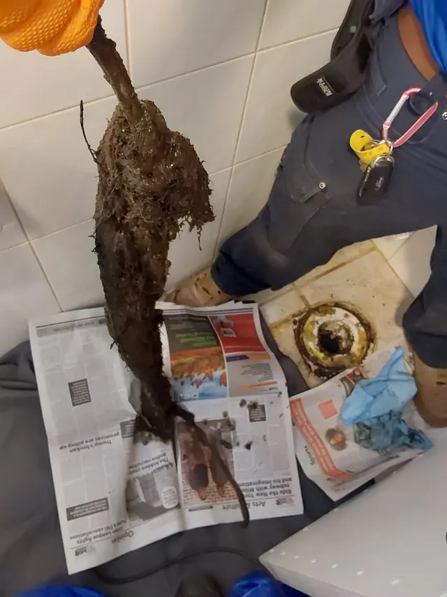 Ron the Sewer Rat — photo from the business 10