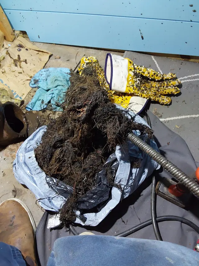 Ron the Sewer Rat — photo from the business 5