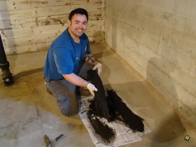 Ron the Sewer Rat — photo from the business 9