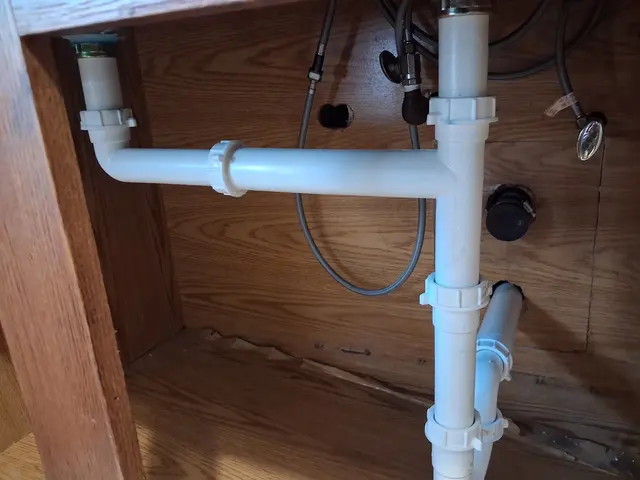 Customer photo from Carol's review