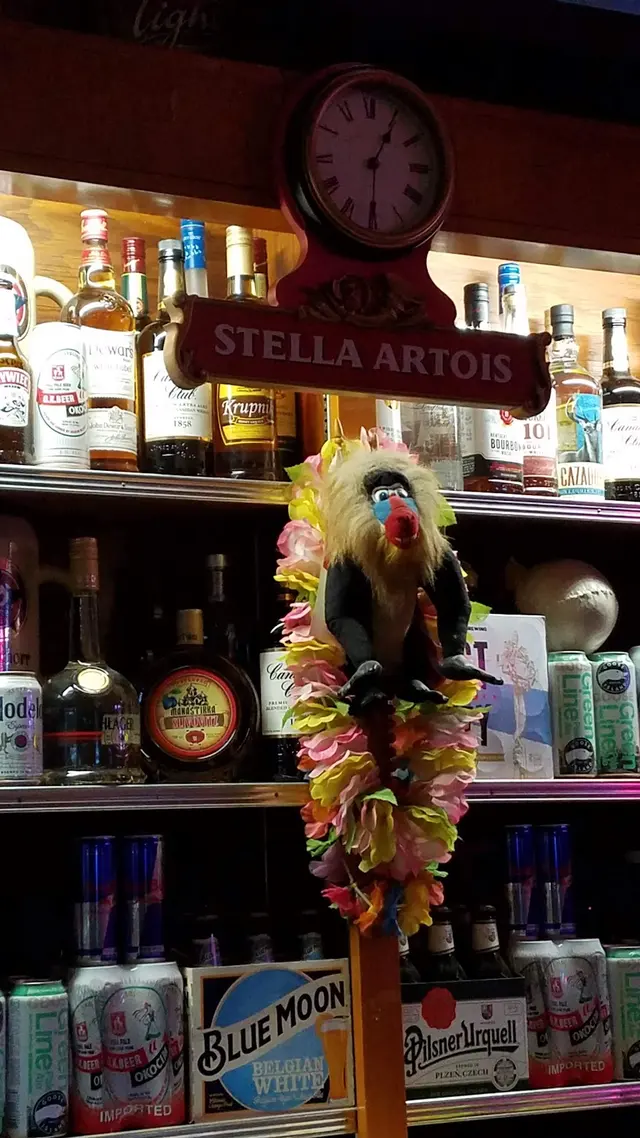 Stella's Tap — customer photo 3