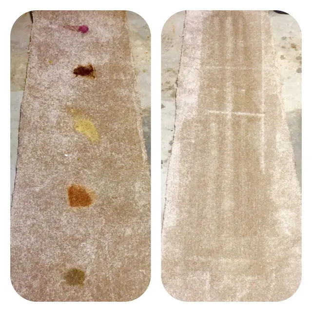 Coastal Carpet Cleaning — photo from the business 9