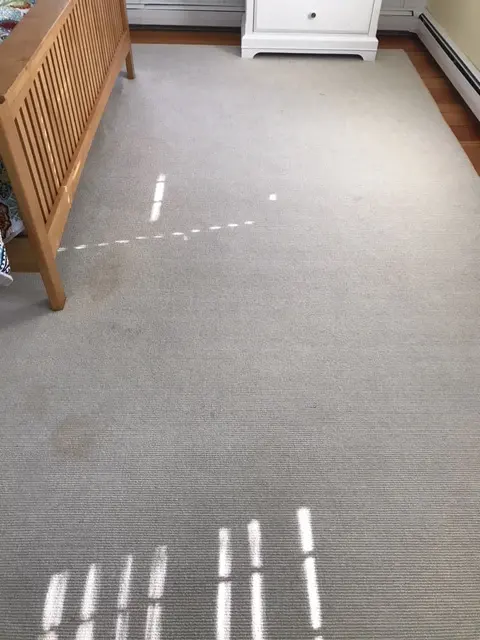 Coastal Carpet Cleaning — customer photo 4