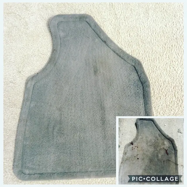Coastal Carpet Cleaning — photo from the business 10
