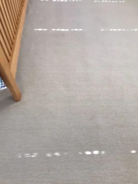 Coastal Carpet Cleaning — customer photo 3
