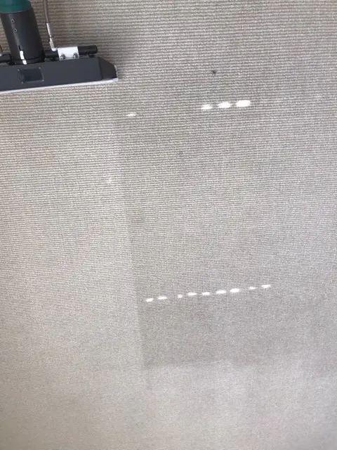 Coastal Carpet Cleaning — customer photo 5