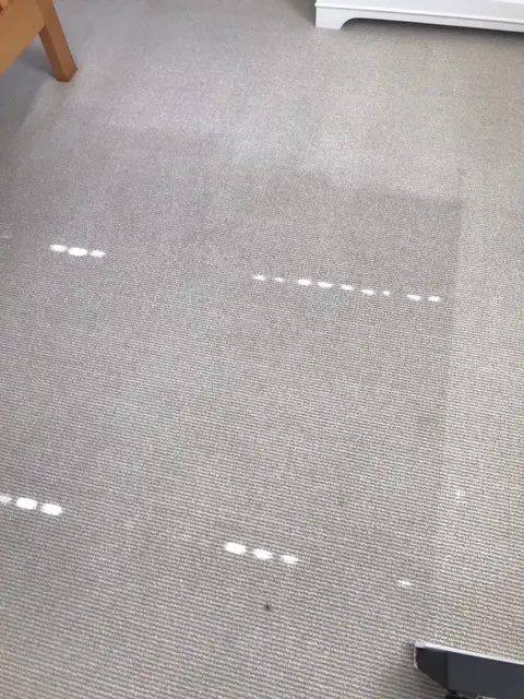 Coastal Carpet Cleaning — customer photo 7