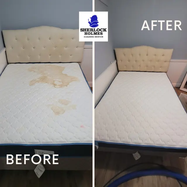 Sherlock Holmes Cleaning Services — photo from the business 2